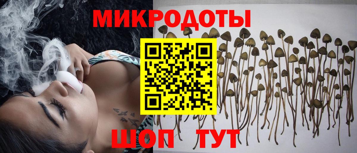 Донецк  Галлюциногенные грибы Cubensis  Галлюциногенные грибы Psilocybe  Вход с VPN 