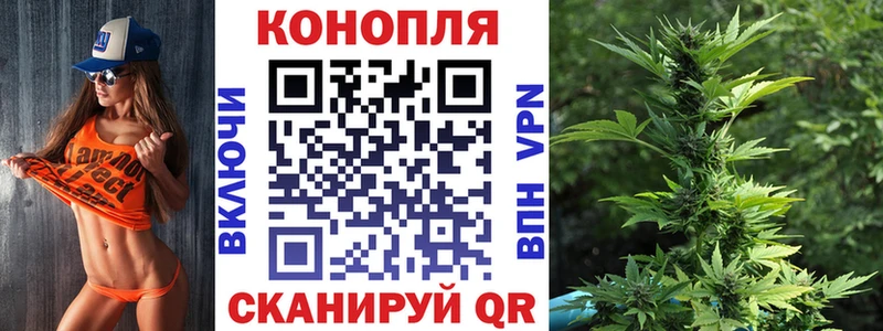 Марихуана семена  где найти   Донецк 